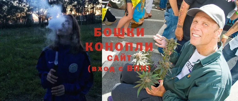 как найти наркотики  Починок  Шишки марихуана OG Kush 